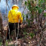 Incrementan los incendios forestales en Quintana Roo y todo México