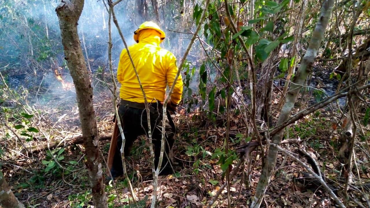 Incrementan los incendios forestales en Quintana Roo y todo México